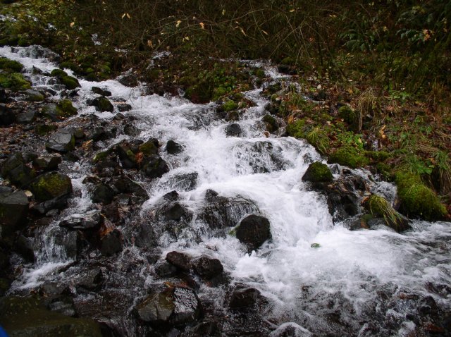 Waukeena Mult Falls 11.26.05 012 